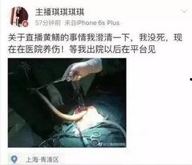 黄鳝进女主播下面,一场网络直播的道德漩涡