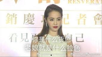 蔡依林对自己表情包