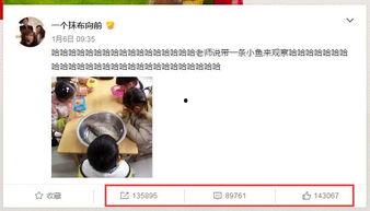 2017网红小朋友,童真魅力席卷网络