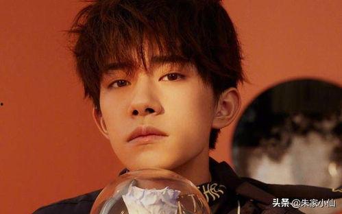 娱乐吃瓜酱杨洋