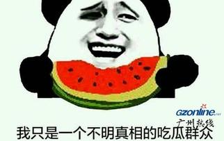 娱乐圈吃瓜群众的简介,揭秘明星幕后故事与八卦风云