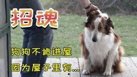 骷髅人电影 搞笑,笑骨嶙峋的末日狂欢